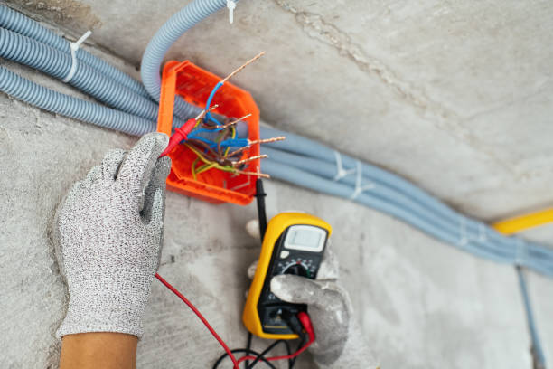 Best Electric Panel Repair  in Red Lake Falls, MN